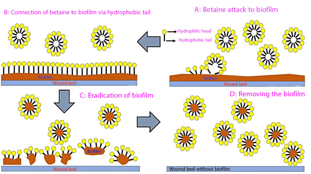 biofilm