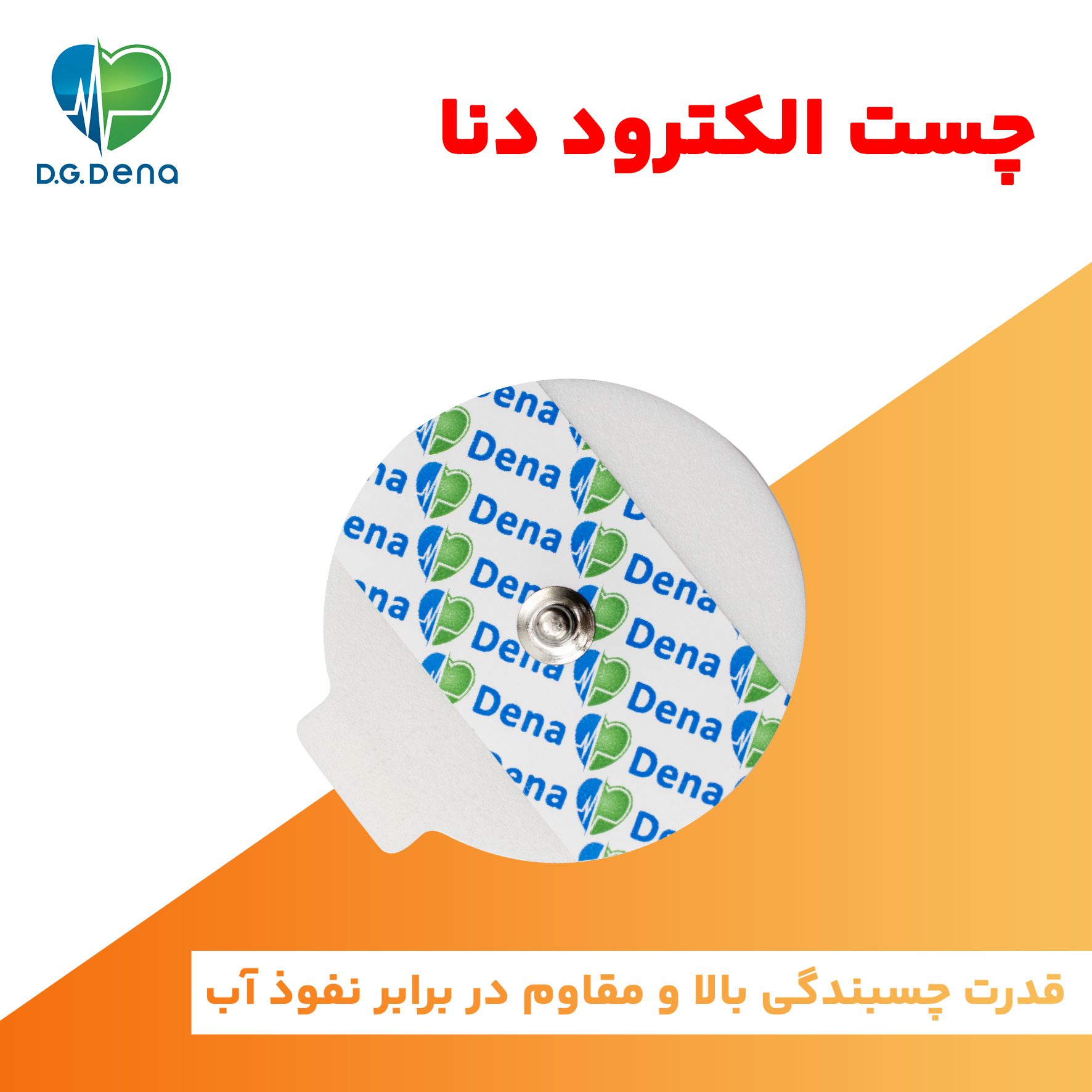 چست لید دنا
