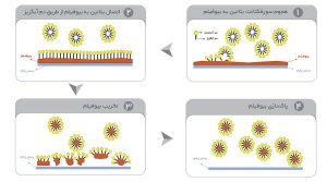 محلول ضدعفونی زخم